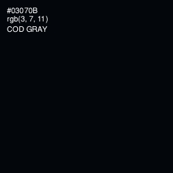 #03070B - Cod Gray Color Image